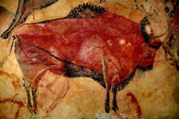 Arte rupestre en las cuevas de Altamira - Bison