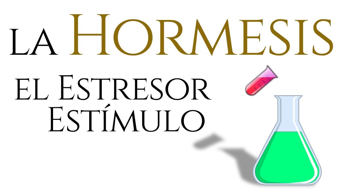 ¿Qué es la Hormesis?