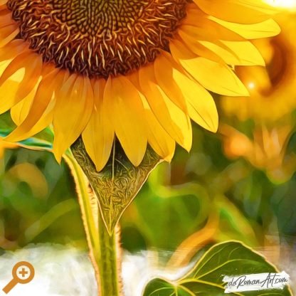 Ilustración de girasoles ampliada